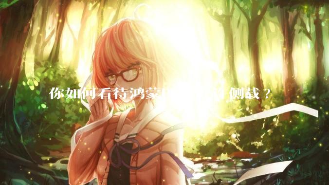 你如何看待鸿蒙PC不允许侧载?