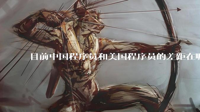 目前中国程序员和美国程序员的差距在哪里？