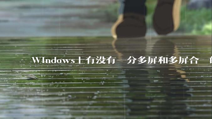 Windows上有没有一分多屏和多屏合一的软件？