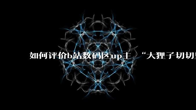 如何评价b站数码区up主 “大狸子切切里”?