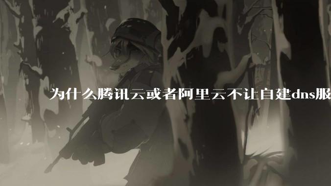 为什么腾讯云或者阿里云不让自建dns服务器?