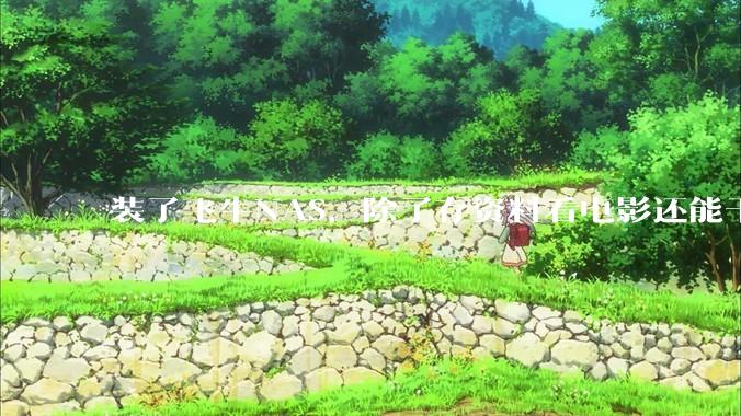 装了飞牛NAS，除了存资料看电影还能干什么？