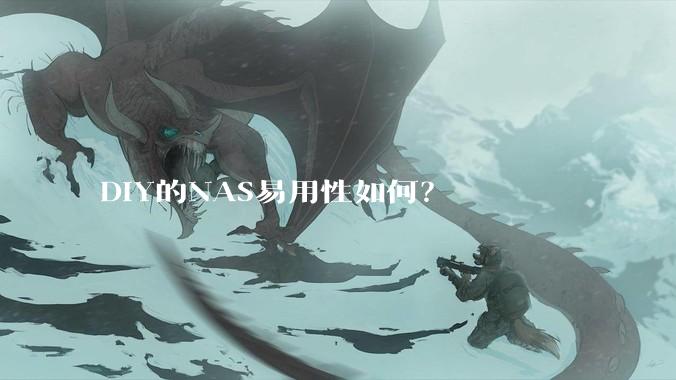 DIY的NAS易用性如何？
