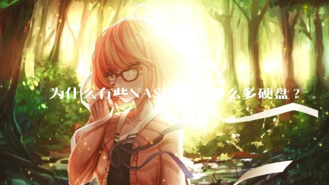 为什么有些NAS用户弄那么多硬盘?